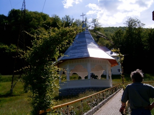 Manastirea Rebra-Parva poza